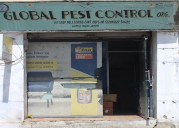 Global-pest-control-organisation-Pest-control-services-Channi-himmat-jammu-Jammu-and-kashmir-1
