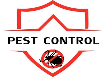 Global-pest-control-Pest-control-services-Aurangabad-Maharashtra-1