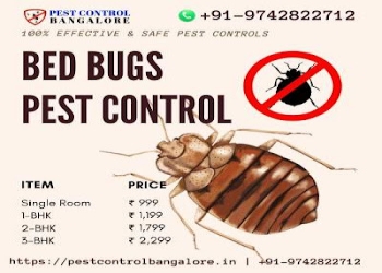 Global-pest-control-Pest-control-services-Gomti-nagar-lucknow-Uttar-pradesh-1