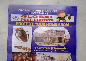 Global-pest-control-Pest-control-services-Indira-nagar-lucknow-Uttar-pradesh-1