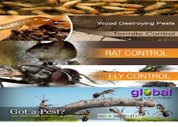 Global-pest-solution-Pest-control-services-Burdwan-West-bengal-2