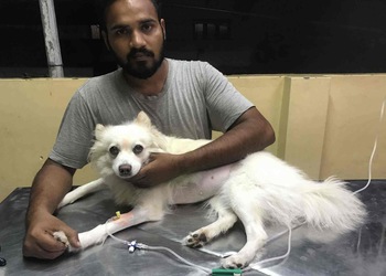 Global-pet-speciality-clinic-Veterinary-hospitals-Ongole-Andhra-pradesh-1