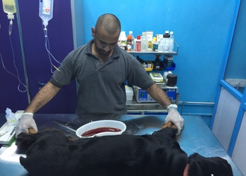 Global-pet-speciality-clinic-Veterinary-hospitals-Ongole-Andhra-pradesh-2