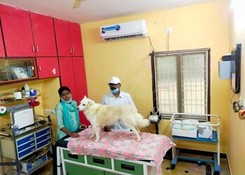 Global-pet-speciality-clinic-Veterinary-hospitals-Ongole-Andhra-pradesh-3