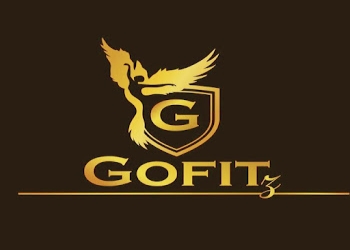 Gofitz-dance-fitness-academy-Gym-Sector-52-gurugram-Haryana-1