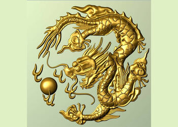 Golden-dragon-martial-arts-club-Martial-arts-school-Indore-Madhya-pradesh-1