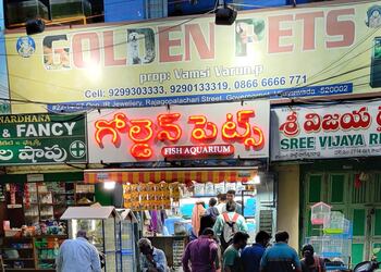 Golden-pets-Pet-stores-Vijayawada-Andhra-pradesh