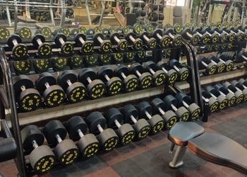 Golds-gym-Gym-Botanical-garden-noida-Uttar-pradesh-2