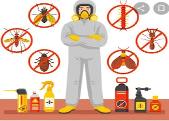 Gone-insecto-pest-control-services-Pest-control-services-Dwarka-delhi-Delhi-2