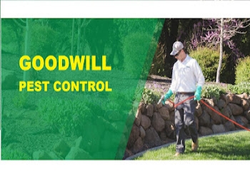 Goodwill-pest-control-services-Pest-control-services-Gaya-Bihar-2