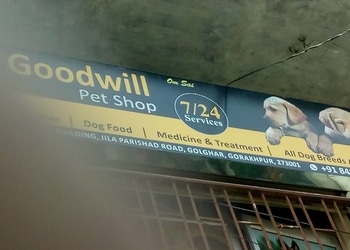 Goodwill-pet-shop-Pet-stores-Gorakhpur-Uttar-pradesh-1