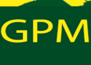 Gpm-pest-management-Pest-control-services-Civil-lines-jalandhar-Punjab-1