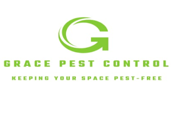 Grace-pest-control-services-Pest-control-services-Banaswadi-bangalore-Karnataka-1
