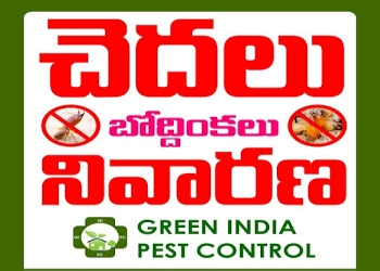 Green-india-pest-control-Pest-control-services-Kadapa-Andhra-pradesh-1