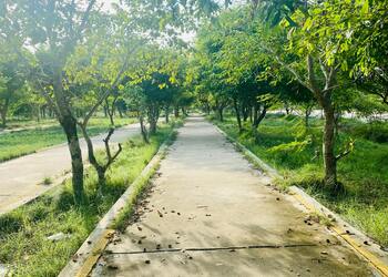 Green-park-Public-parks-Tiruchirappalli-Tamil-nadu-3