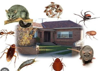 Green-pest-control-Pest-control-services-Howrah-West-bengal-2