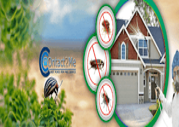 Green-pest-control-Pest-control-services-New-town-kolkata-West-bengal-2
