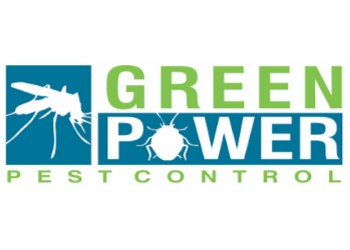 Green-power-pest-control-kalyan-Pest-control-services-Dombivli-east-kalyan-dombivali-Maharashtra-1