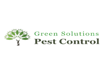 Green-solutions-pest-control-service-Pest-control-services-Pratap-nagar-nagpur-Maharashtra-1