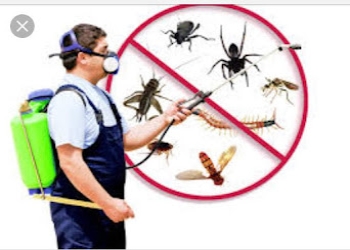 Griffin-pest-control-solutions-Pest-control-services-Malviya-nagar-jaipur-Rajasthan-2