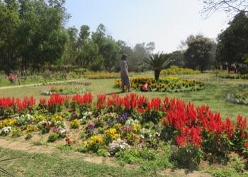 Gunjan-ecological-park-Picnic-spots-Asansol-West-bengal-2