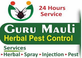 Guru-mauli-herbal-pest-control-Pest-control-services-Akola-Maharashtra-1