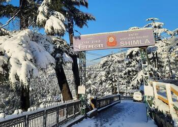 Guru-nanak-holidays-tours-and-travels-Travel-agents-Shimla-Himachal-pradesh-1