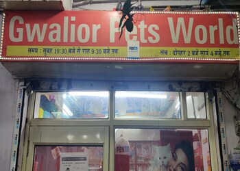Gwalior-pets-world-Pet-stores-Gwalior-Madhya-pradesh-1