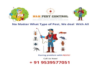 H-and-h-pest-control-Pest-control-services-Thirurangadi-malappuram-Kerala-1