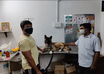 Happy-pet-clinic-Veterinary-hospitals-Vijayawada-Andhra-pradesh-2
