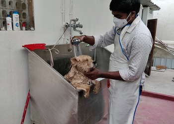 Happy-pet-clinic-Veterinary-hospitals-Vijayawada-Andhra-pradesh-3