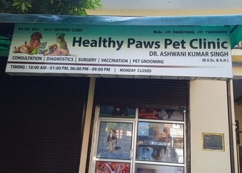 Healthy-paws-pet-clinic-Veterinary-hospitals-Kanpur-Uttar-pradesh-1