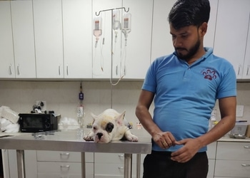 Healwell-pet-clinic-Veterinary-hospitals-Sector-58-noida-Uttar-pradesh-3