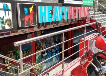 Heavy-petting-Pet-stores-Hsr-layout-bangalore-Karnataka-1
