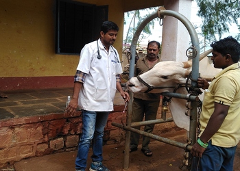 Hebballis-pet-clinic-Veterinary-hospitals-Gokul-hubballi-dharwad-Karnataka-3