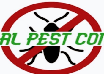 Herbal-pest-control-Pest-control-services-Armane-nagar-bangalore-Karnataka-1