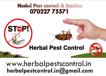 Herbal-pest-control-services-Pest-control-services-Hebbal-bangalore-Karnataka-1