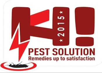 Hi-pest-solution-services-Pest-control-services-Sector-6-bhilai-Chhattisgarh-1