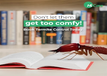 Hicare-pest-control-services-Pest-control-services-Town-hall-coimbatore-Tamil-nadu-2