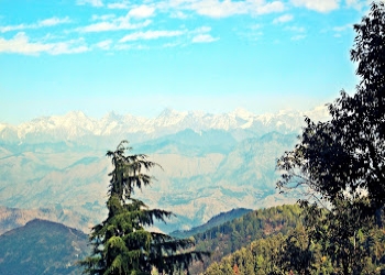Himalayan-musafir-Travel-agents-Summer-hill-shimla-Himachal-pradesh-2