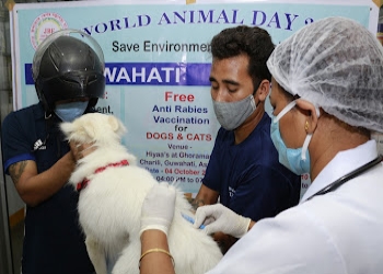 Hiyaas-Veterinary-hospitals-Dispur-Assam-1