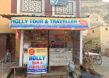Holly-tour-and-travels-Travel-agents-Civil-lines-aligarh-Uttar-pradesh-2
