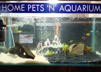 Home-pets-n-aquarium-Pet-stores-Jorhat-Assam-3