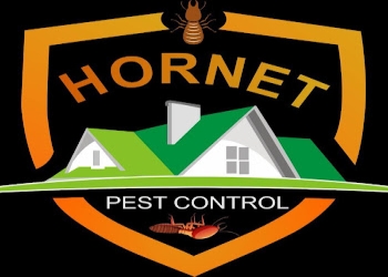 Hornet-pest-control-services-delhi-Pest-control-services-New-delhi-Delhi-1