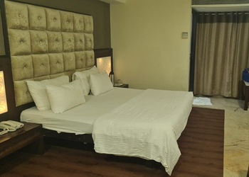 Hotel-south-avenue-3-star-hotels-Indore-Madhya-pradesh-2