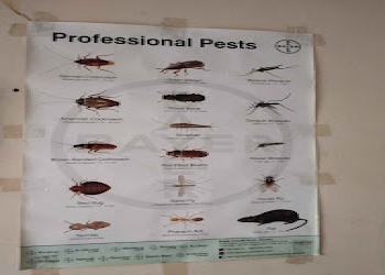 Hyderabad-pest-control-services-Pest-control-services-Hyderabad-Telangana-2