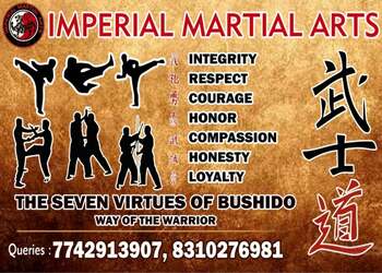 Imperial-martial-art-Martial-arts-school-Jodhpur-Rajasthan-1