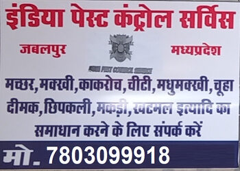 India-pest-control-service-Pest-control-services-Adhartal-jabalpur-Madhya-pradesh-1