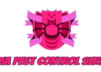 India-pest-control-service-Pest-control-services-Vijay-nagar-jabalpur-Madhya-pradesh-1