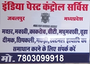 India-pest-control-service-Pest-control-services-Vijay-nagar-jabalpur-Madhya-pradesh-2